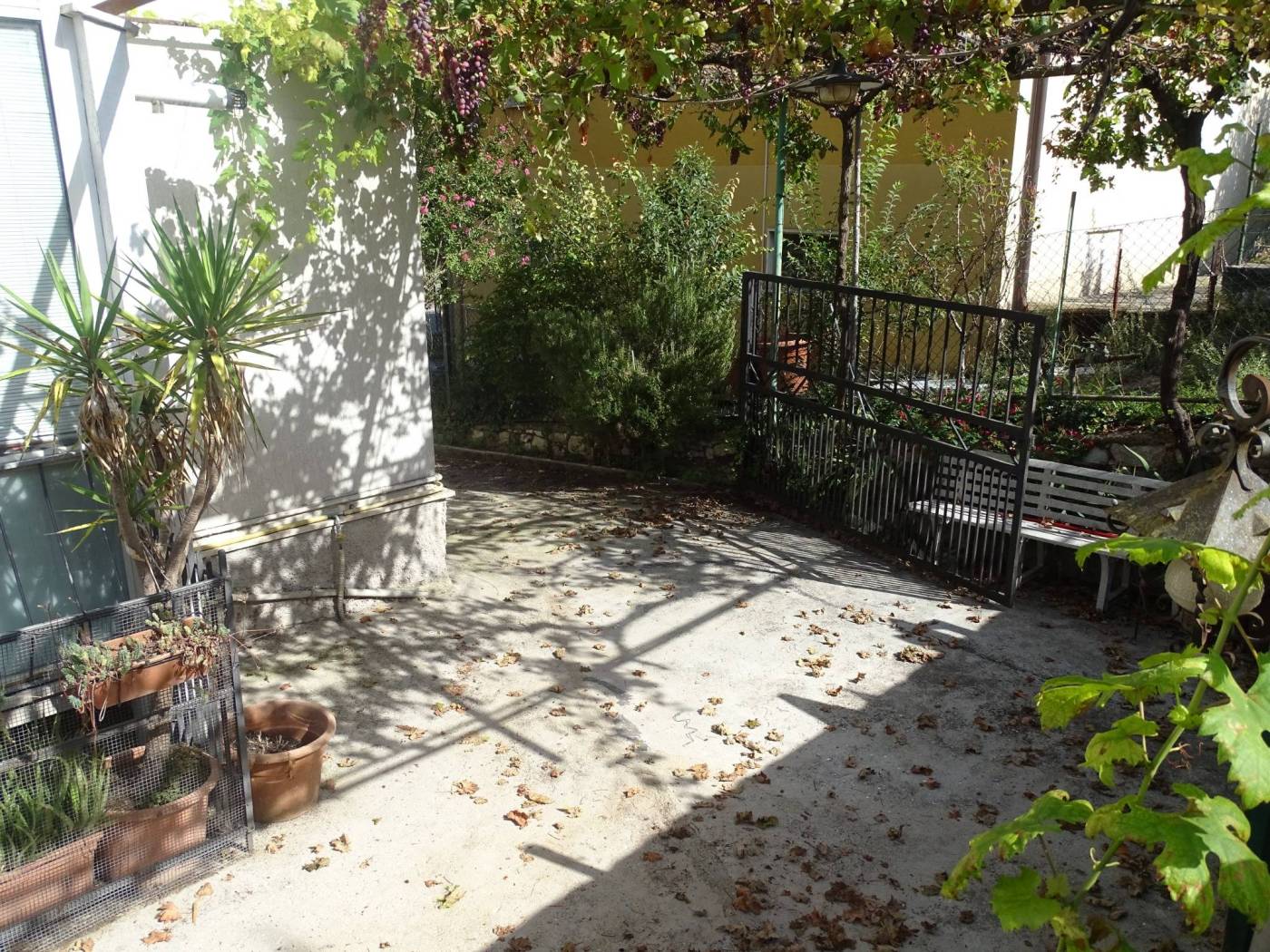 Giardino