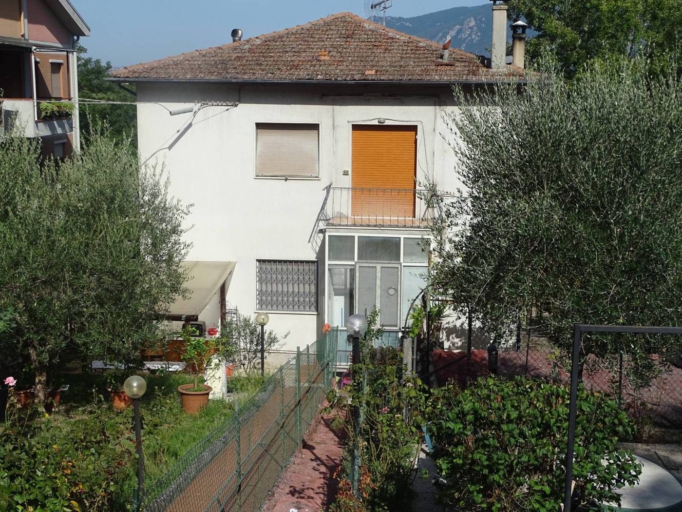 Vista