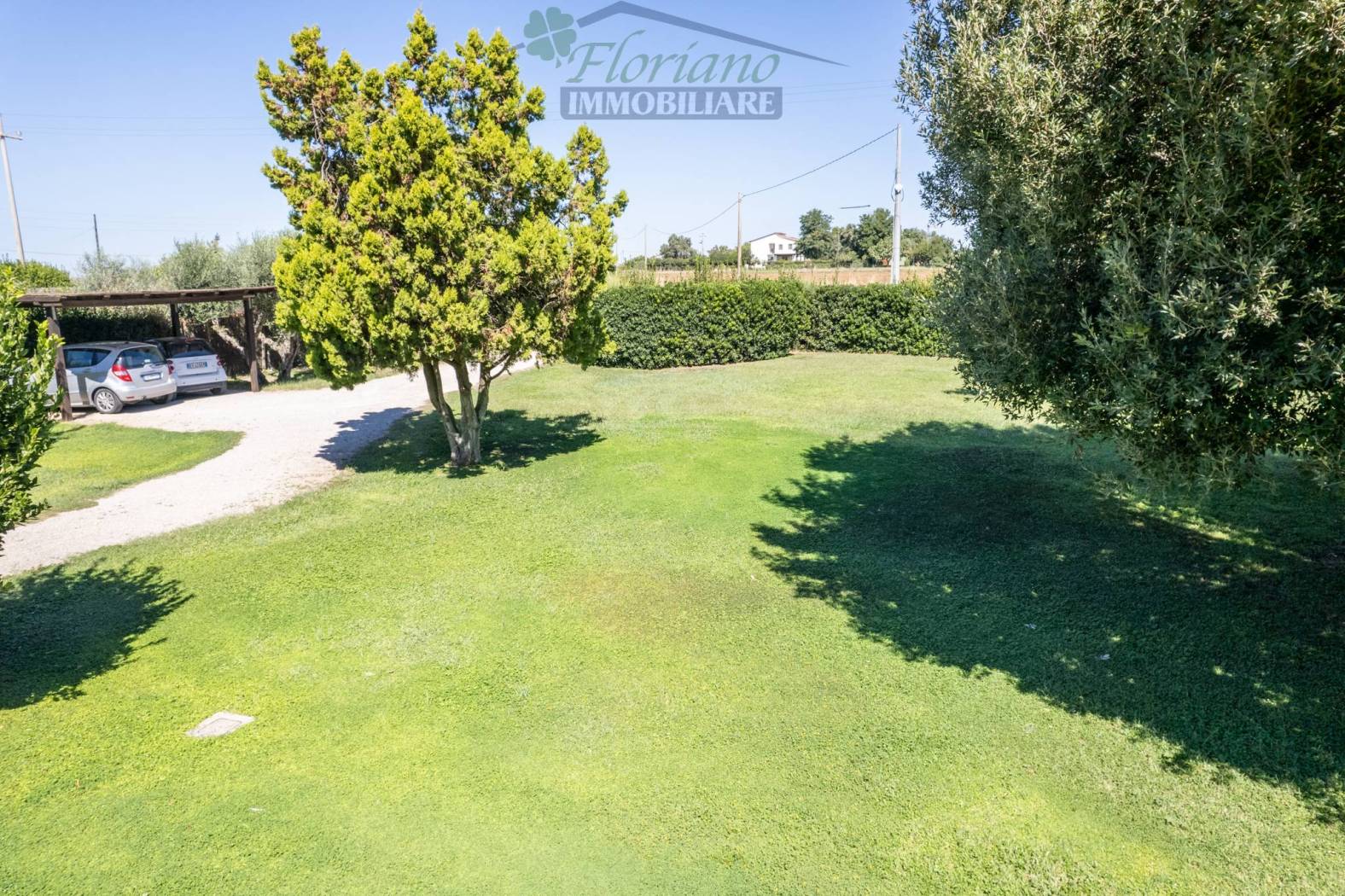 Giardino