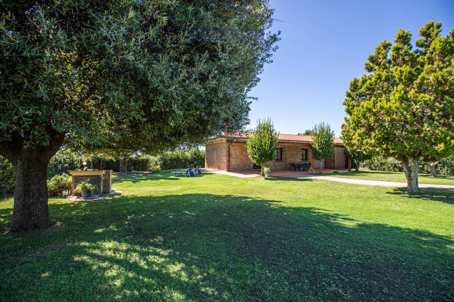 Giardino
