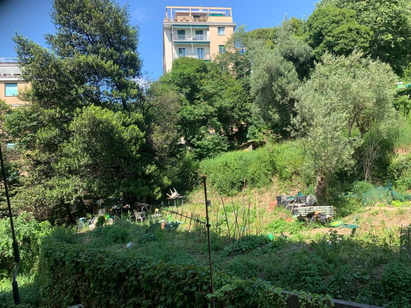 Terreno