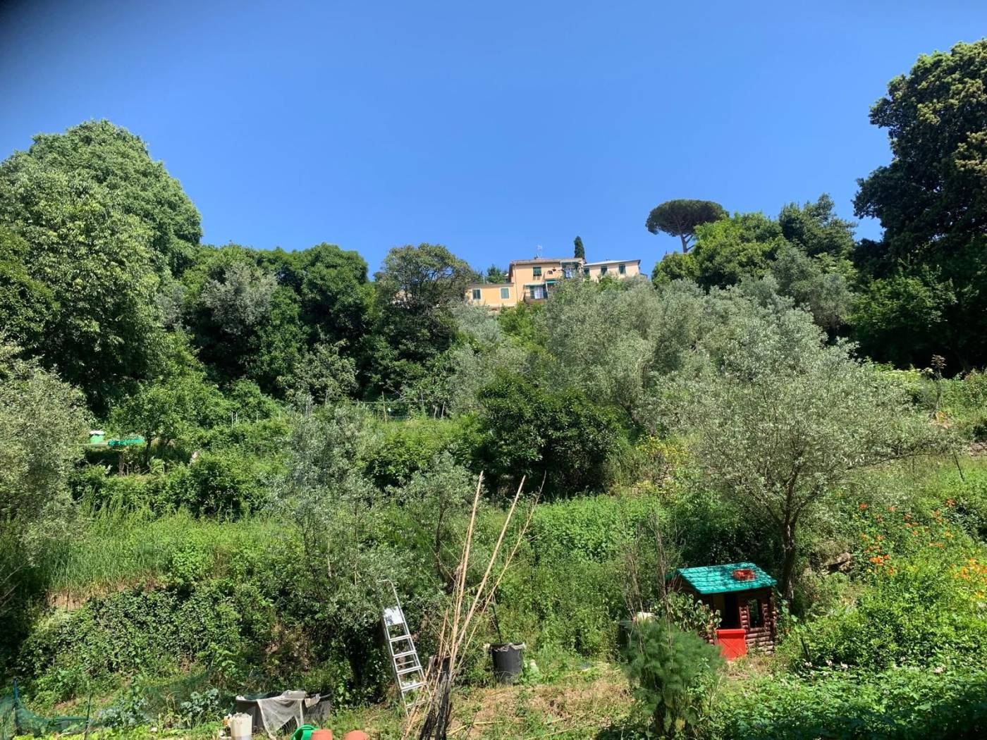 Vista
