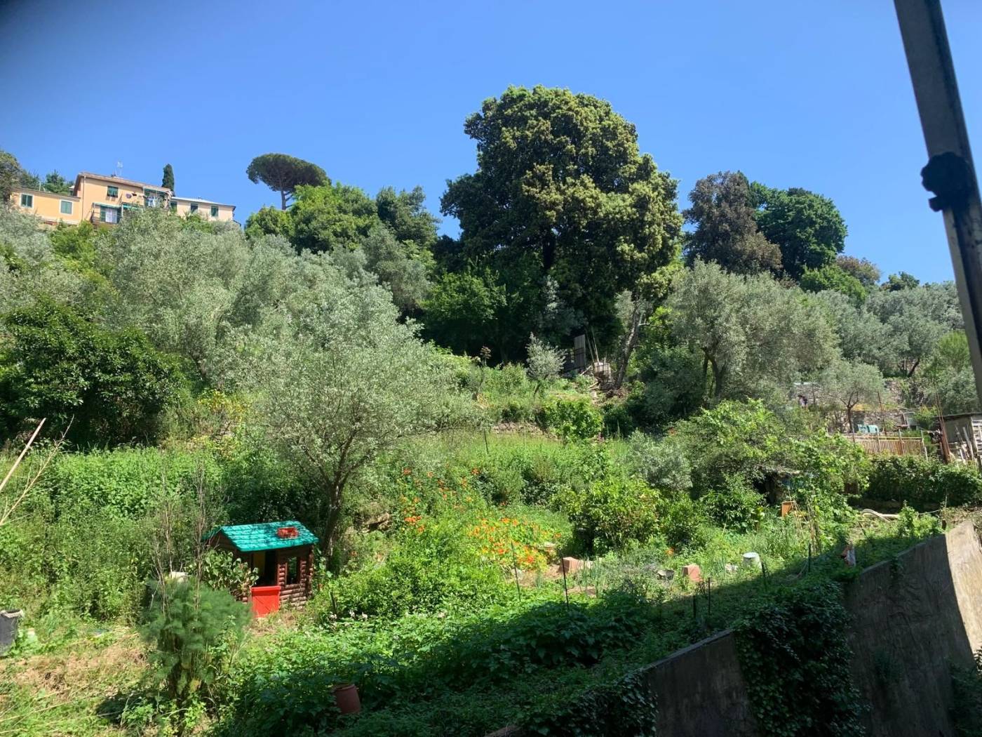 Terreno