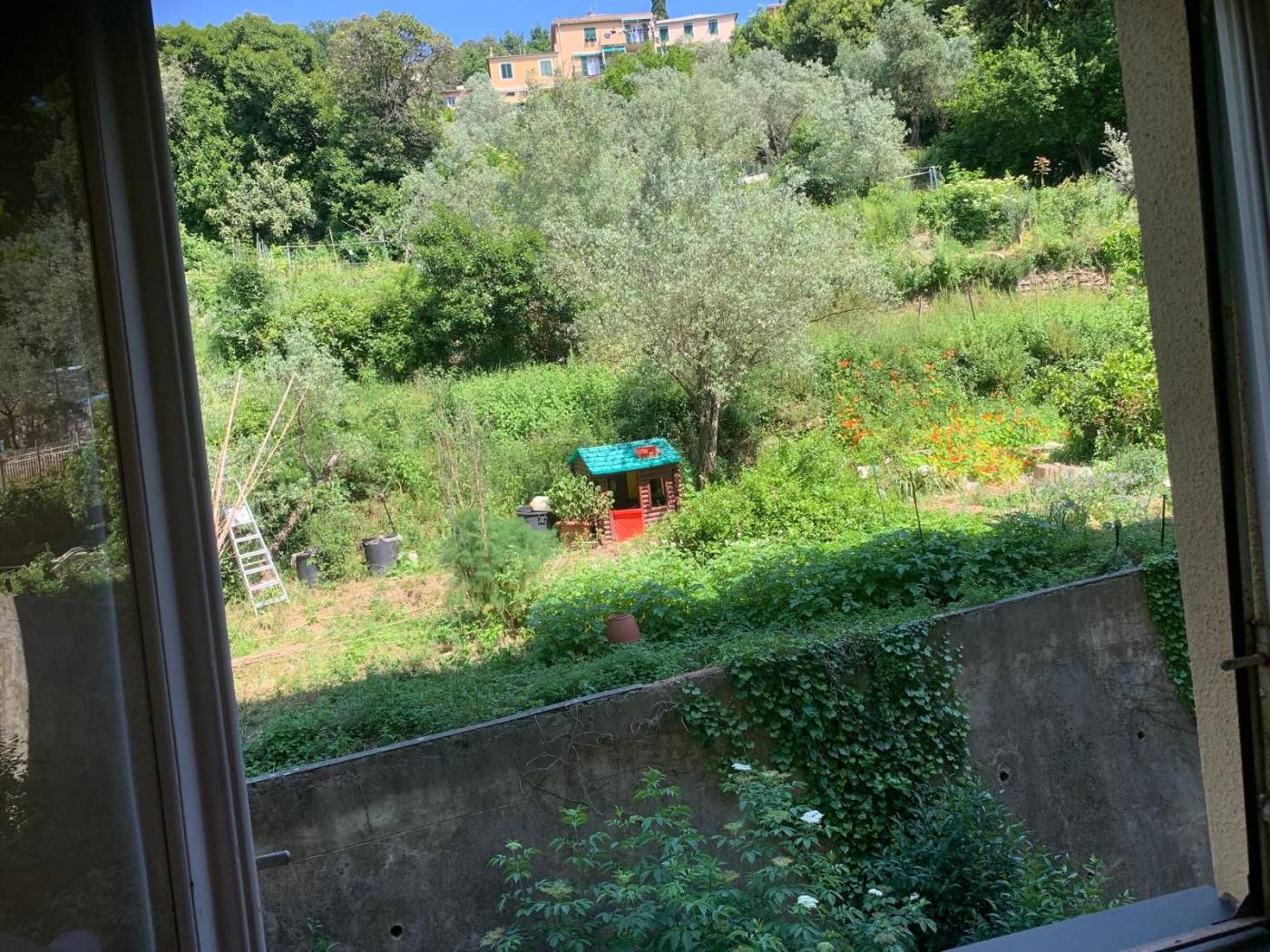 Vista