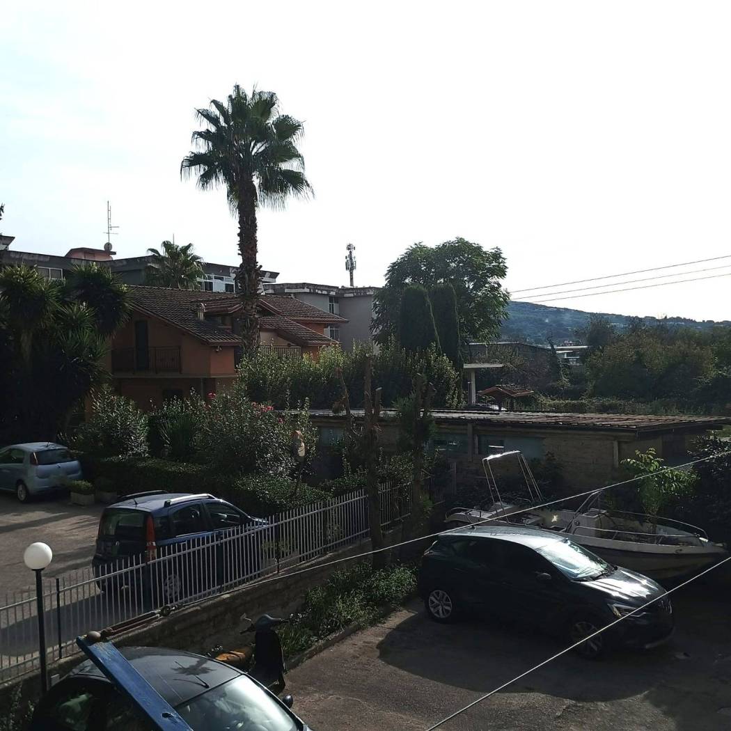 Vista
