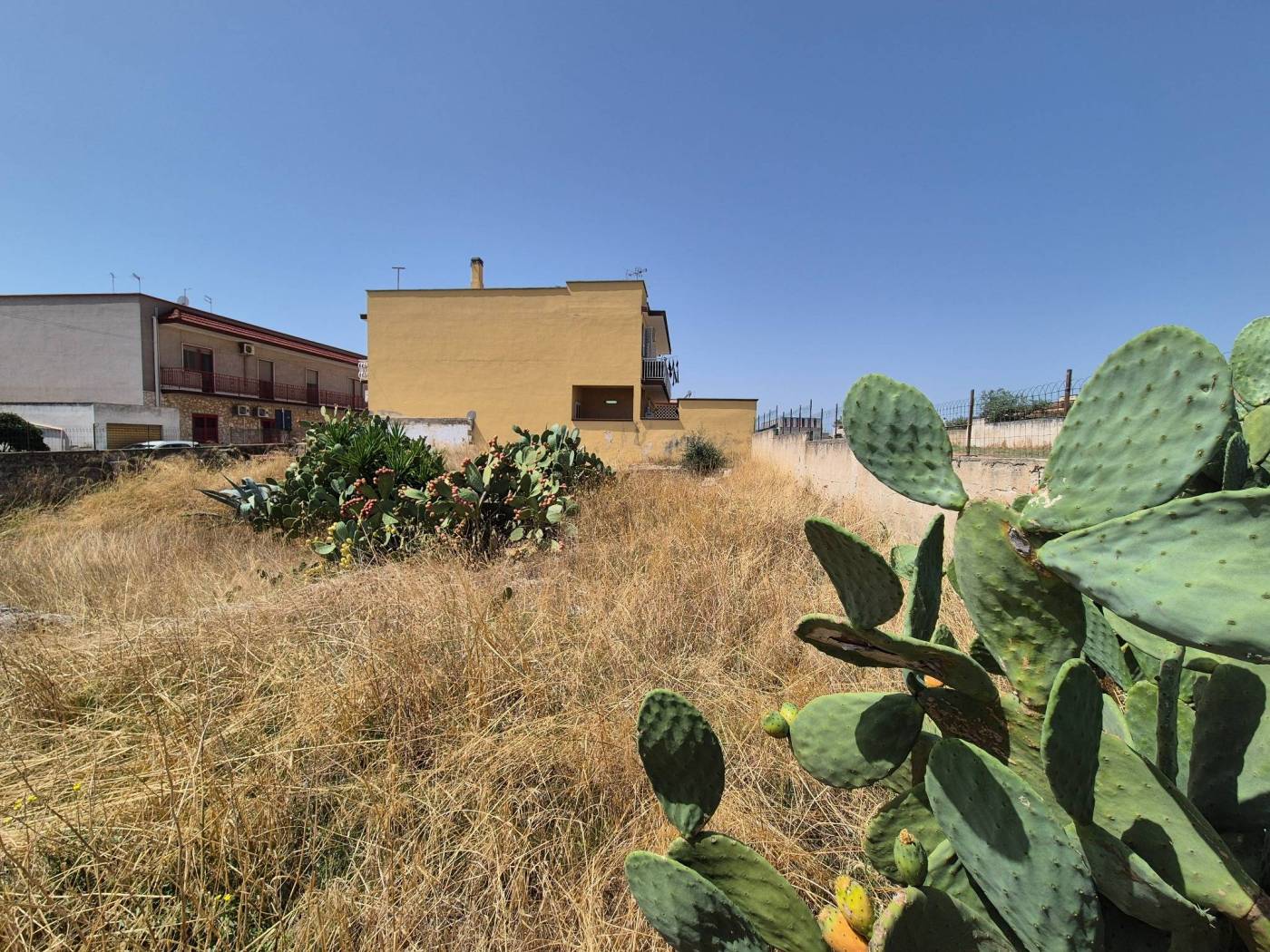 Terreno