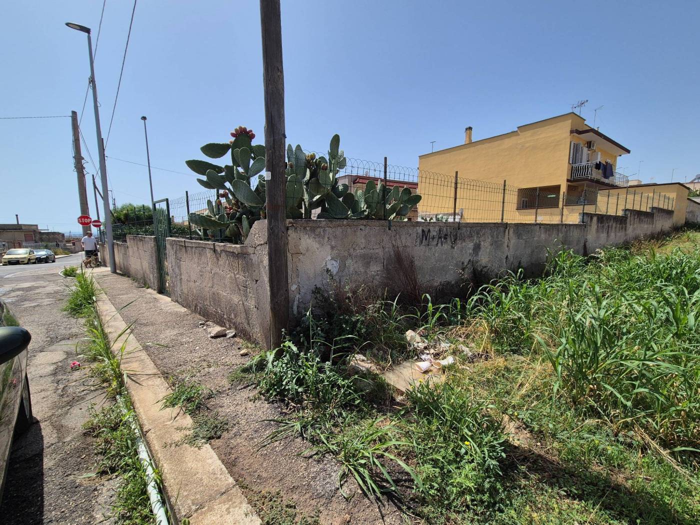 Terreno