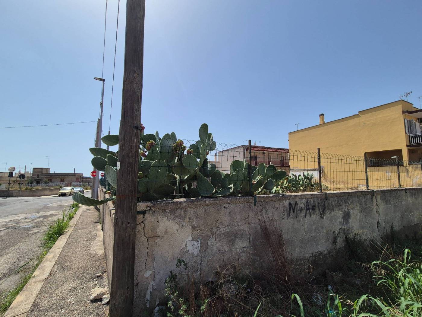 Terreno
