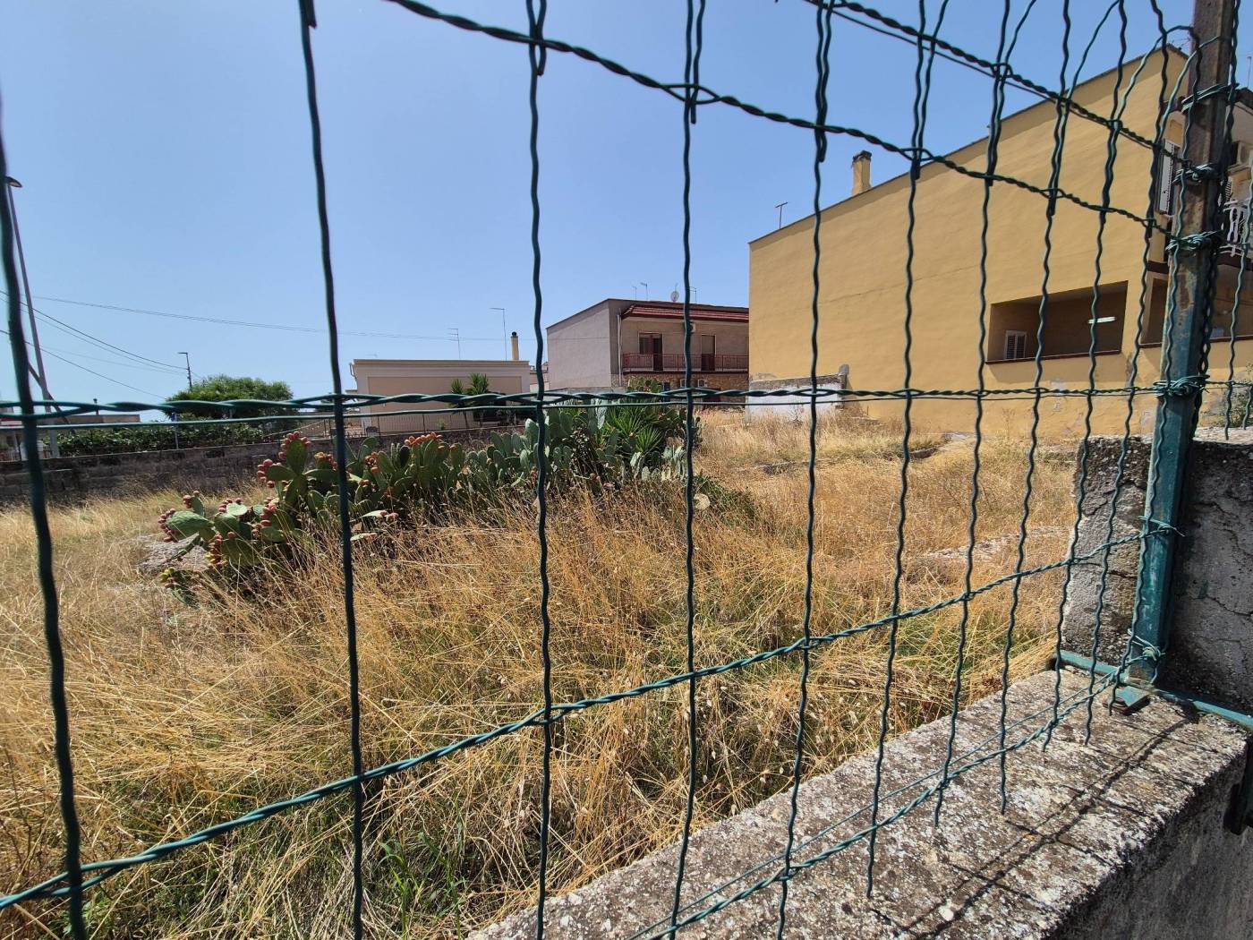 Terreno