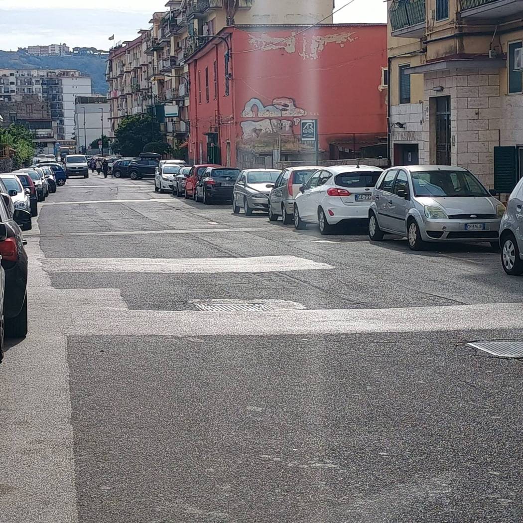 Zona