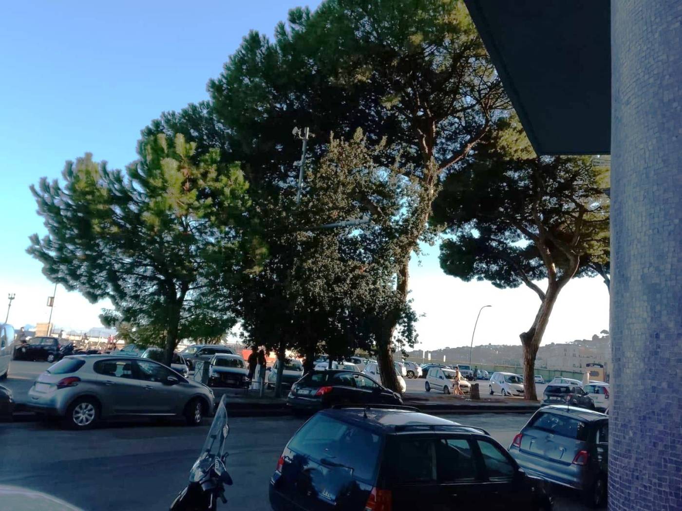 Vista