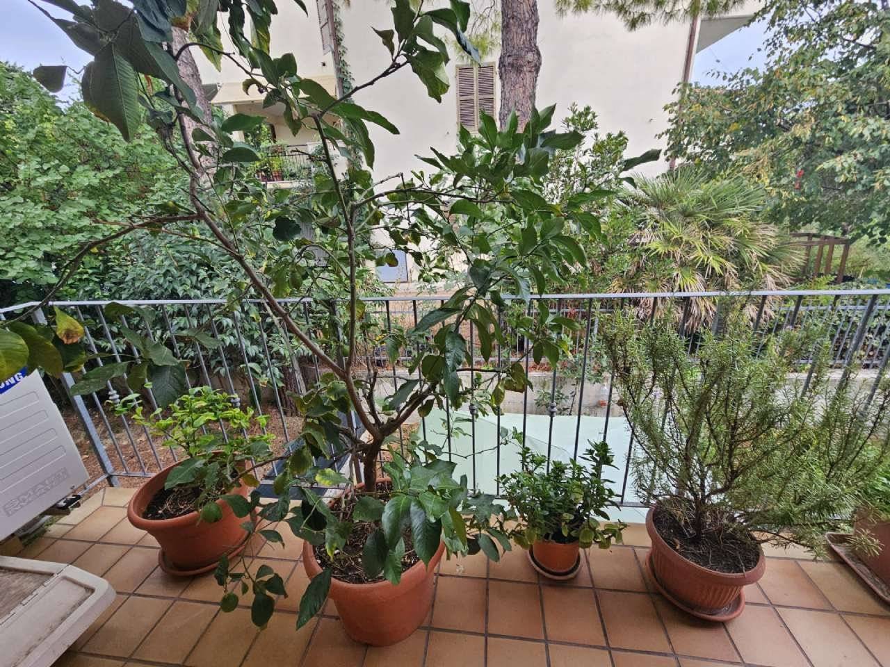 Terrazzo