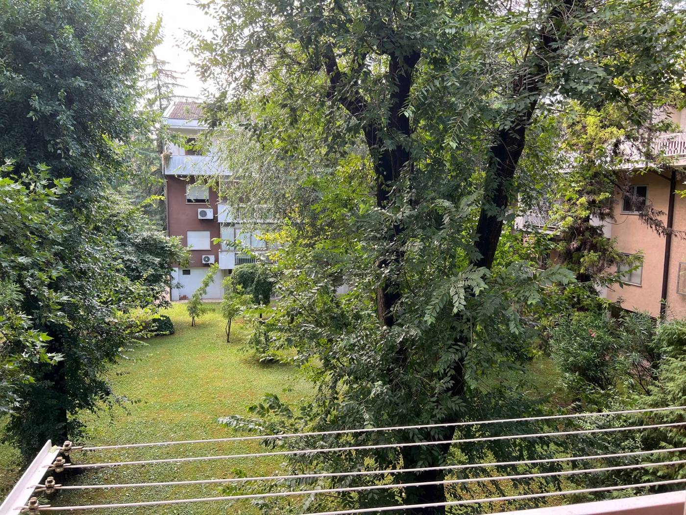 Vista
