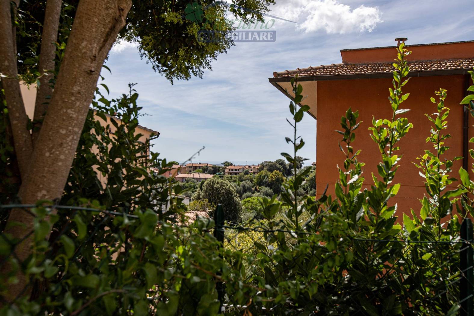 Vista