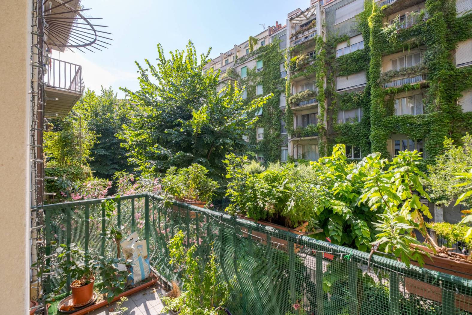 Balcone
