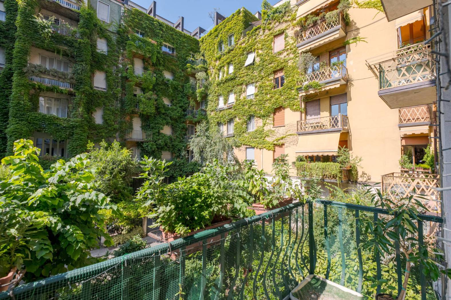Balcone