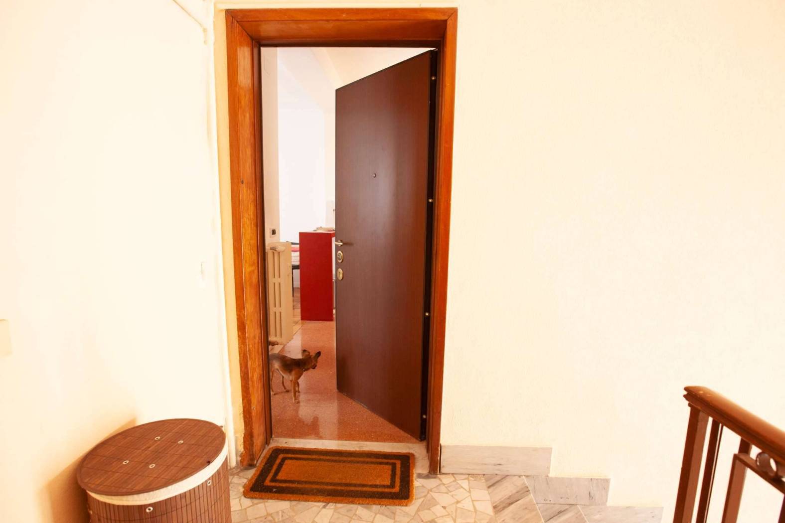 Ingresso