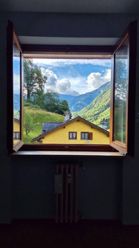 Vista
