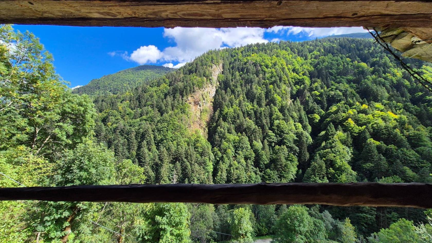 Vista