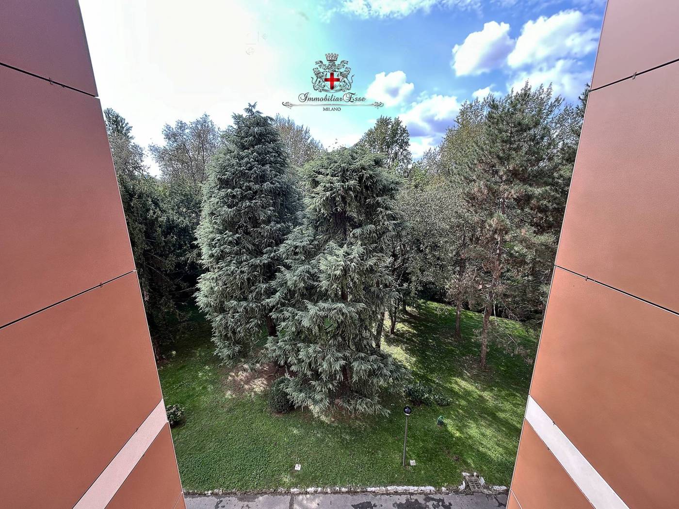 Vista