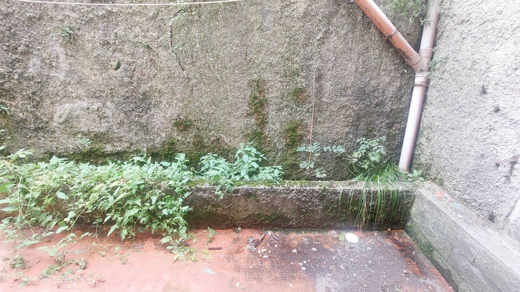 Terrazzo