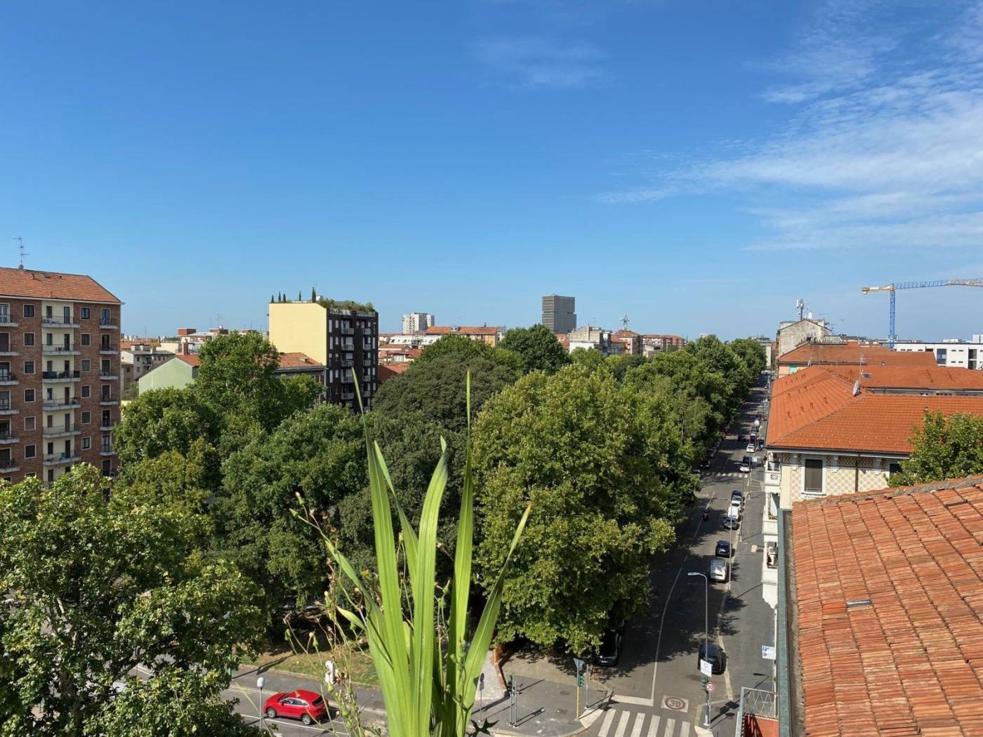 Vista