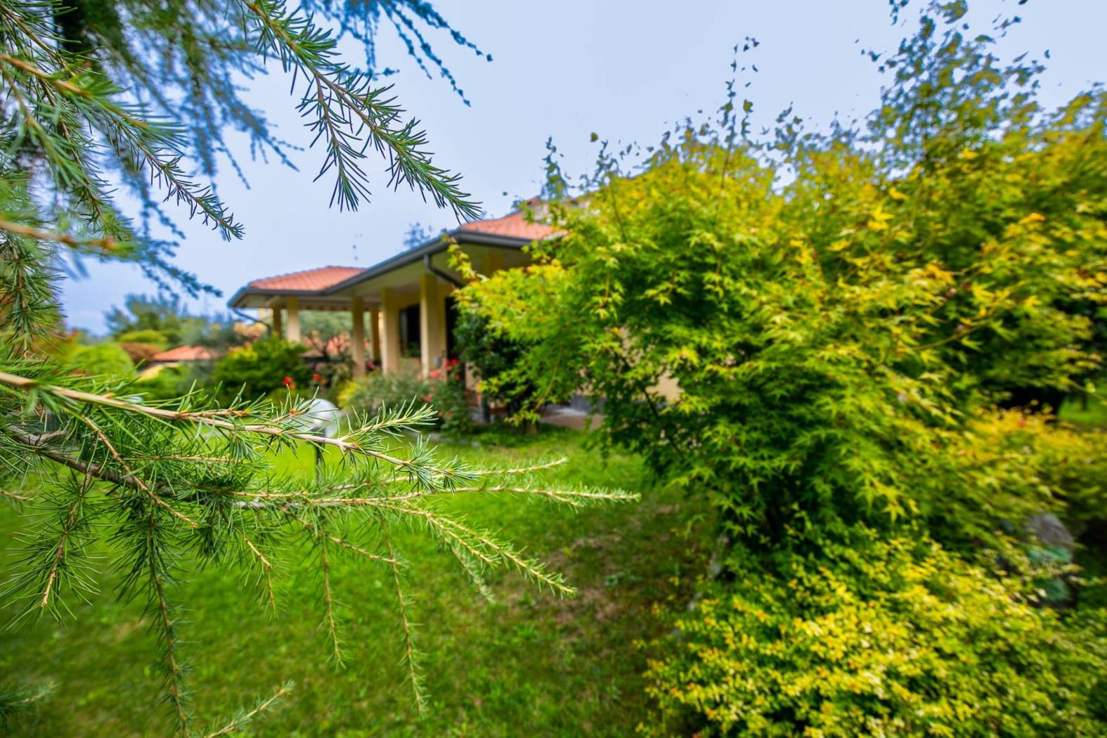 Giardino