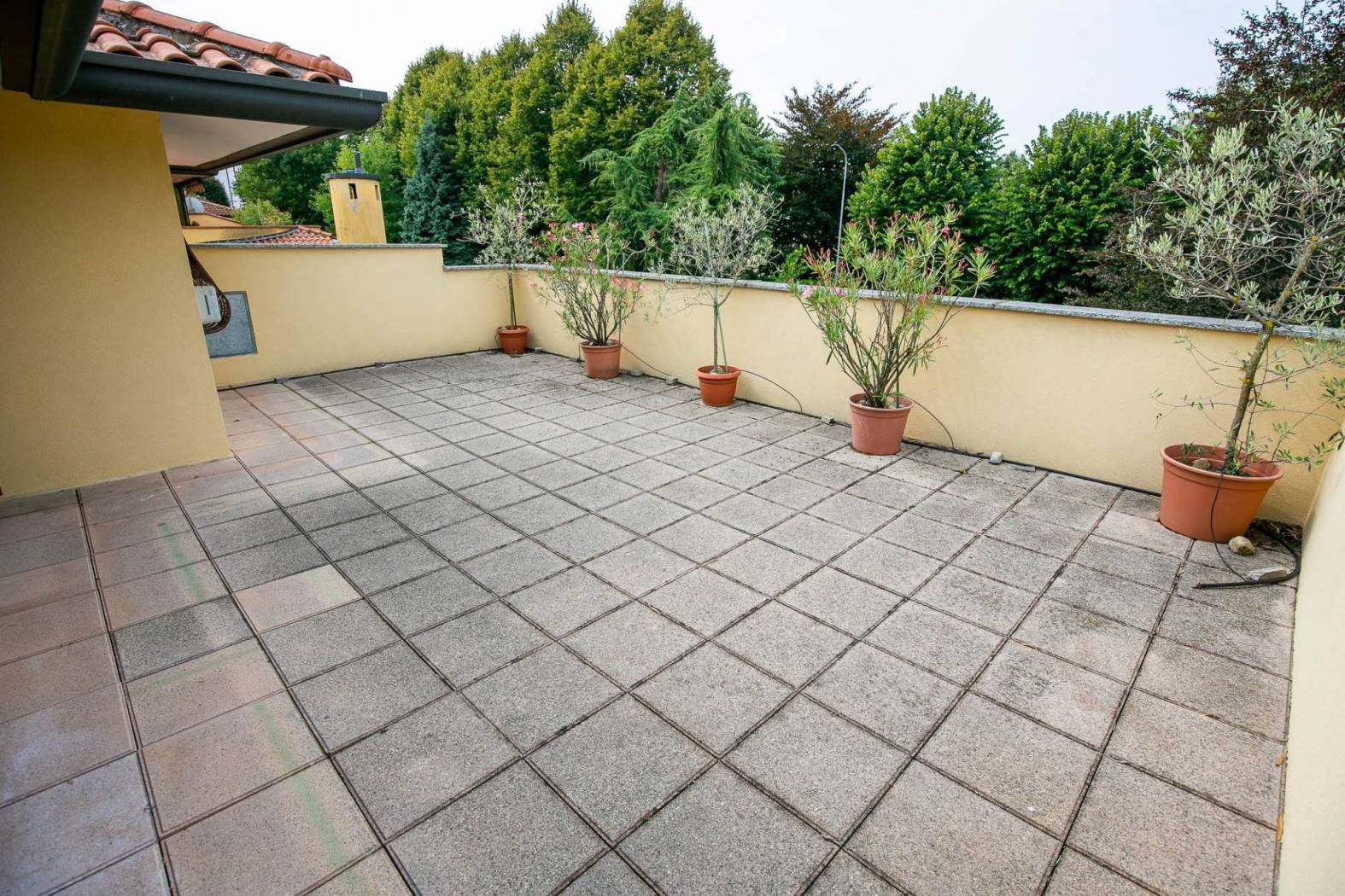 Terrazzo