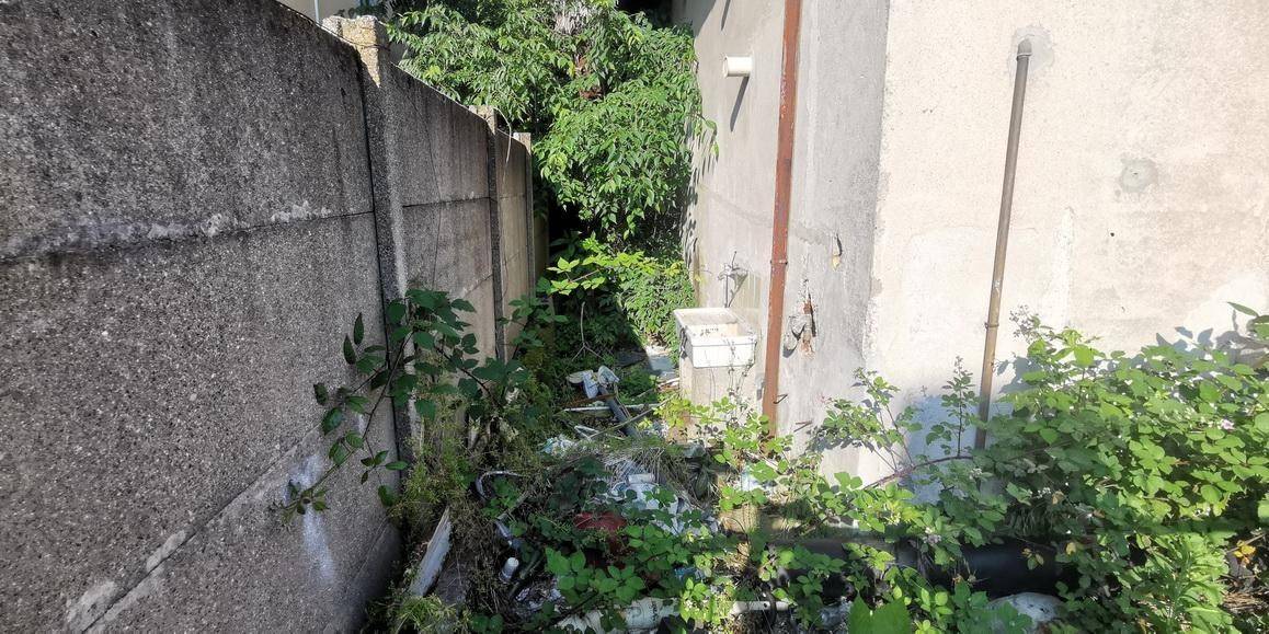 Giardino