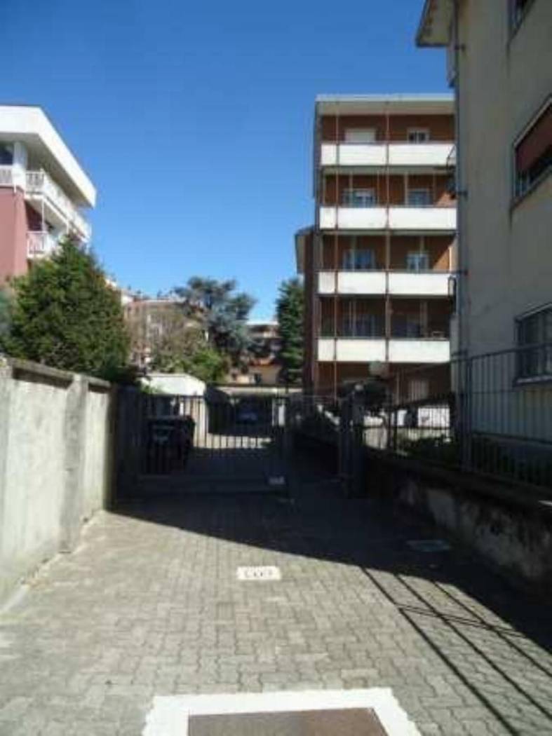 Zona