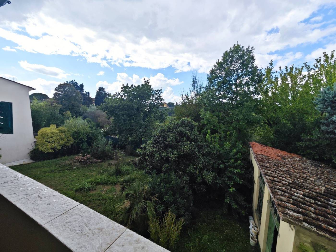Vista