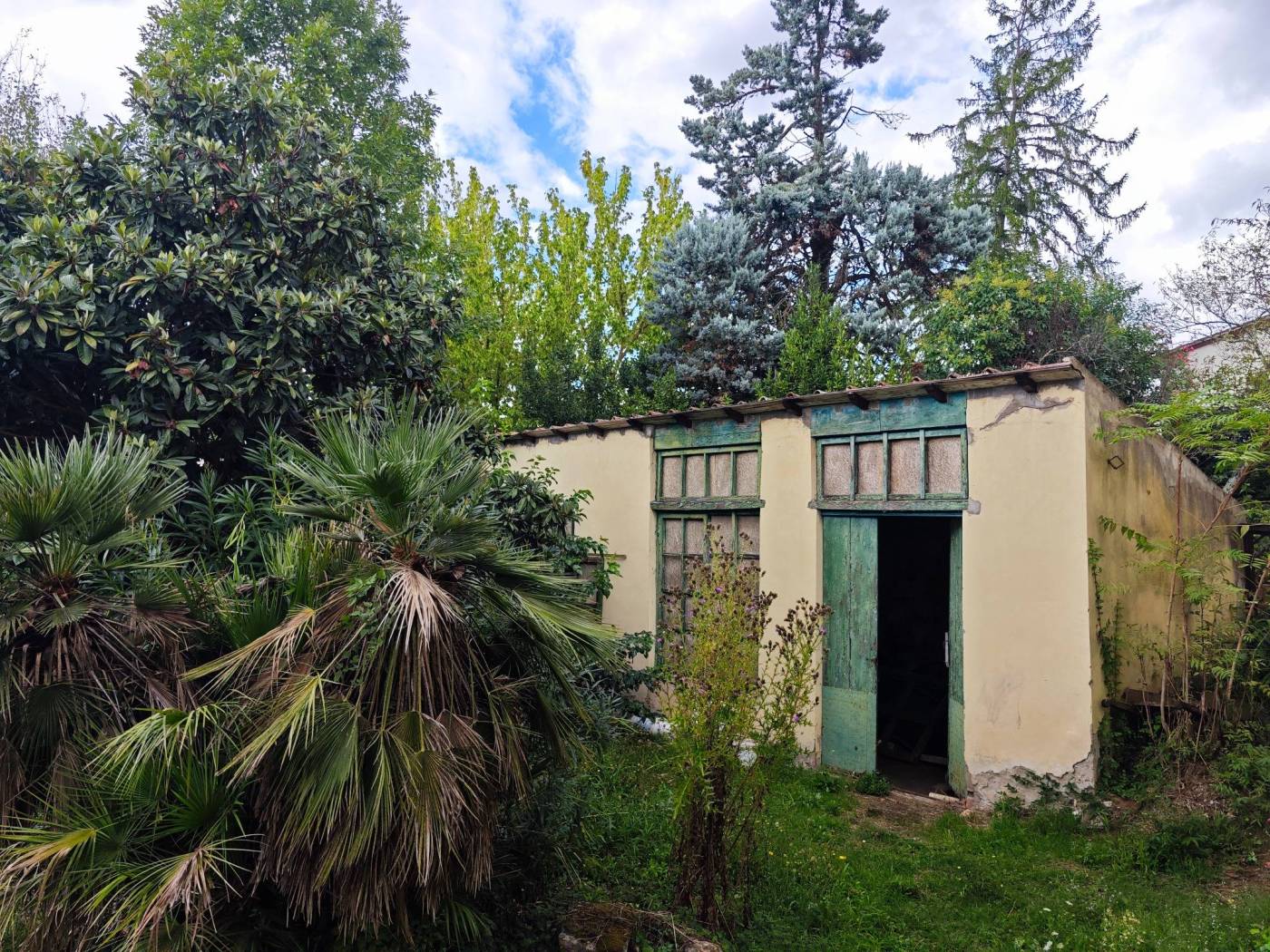 Giardino
