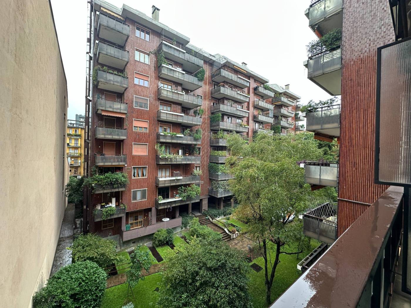 Vista