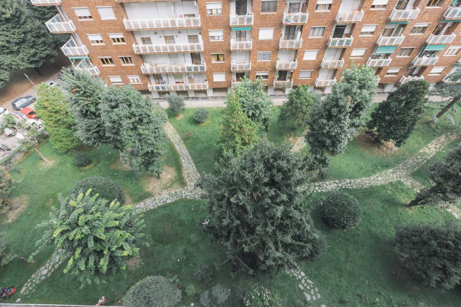 Vista