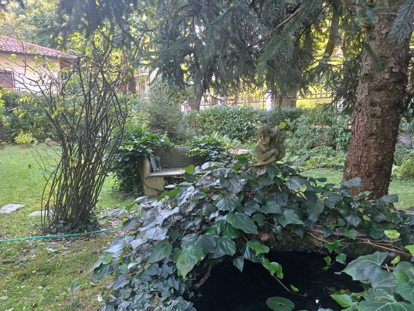 Giardino