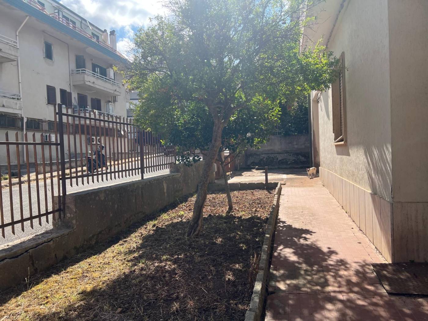 Giardino