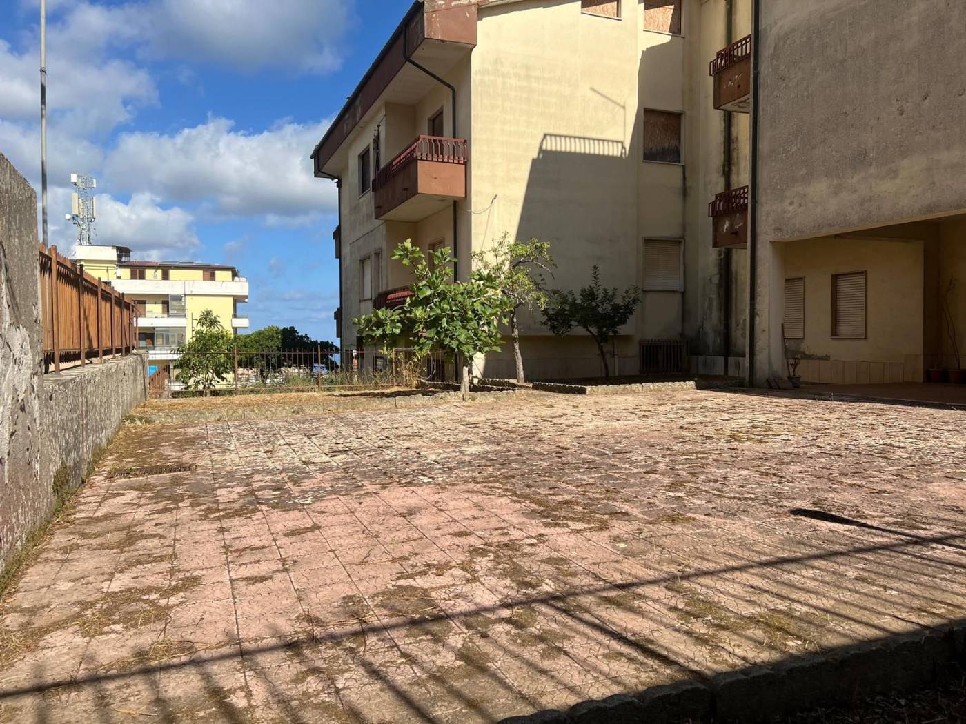 Zona