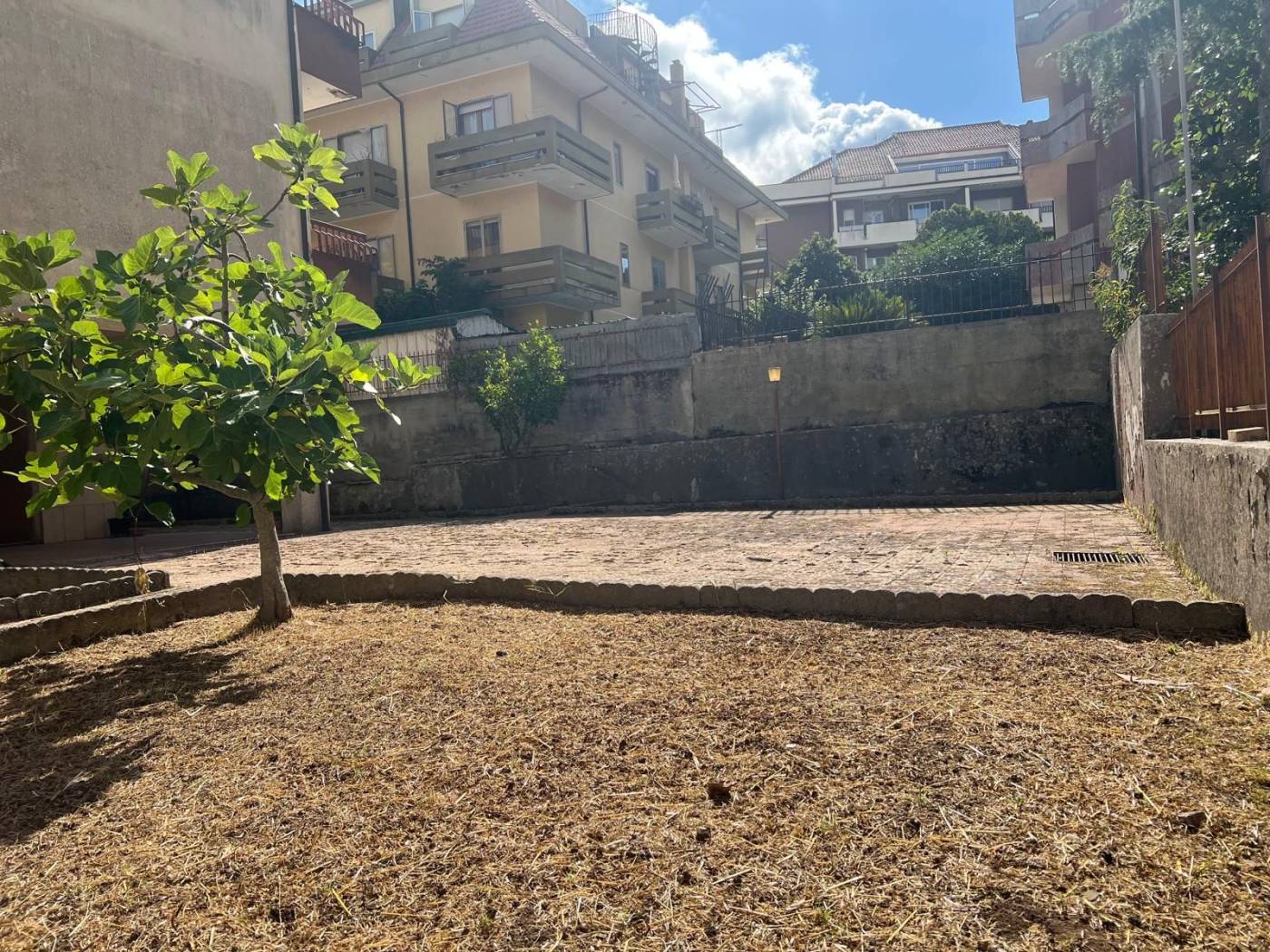 Giardino