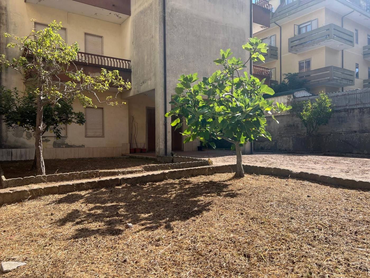 Giardino