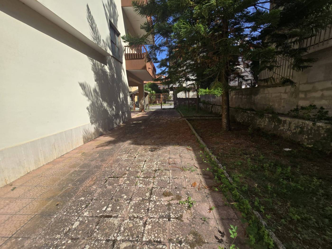 Giardino