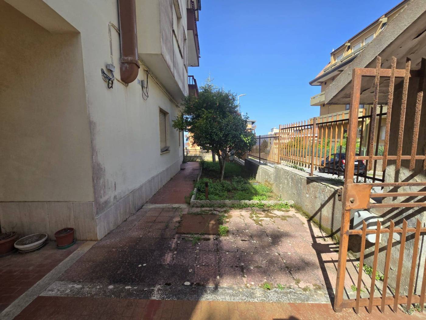 Giardino