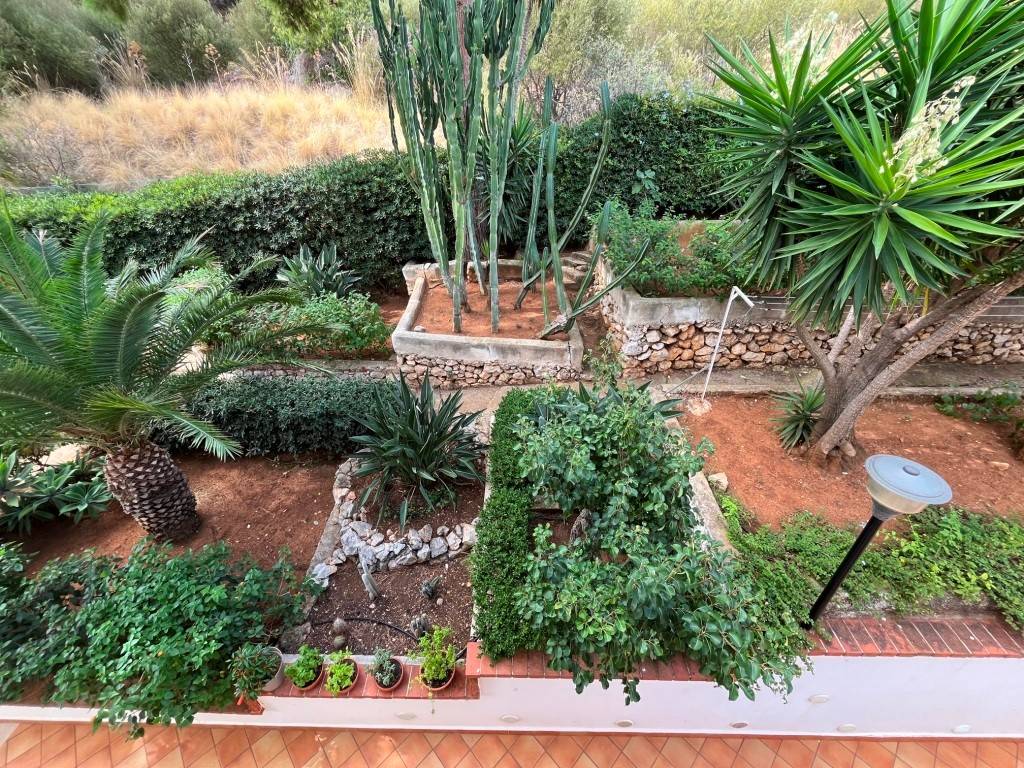 Giardino