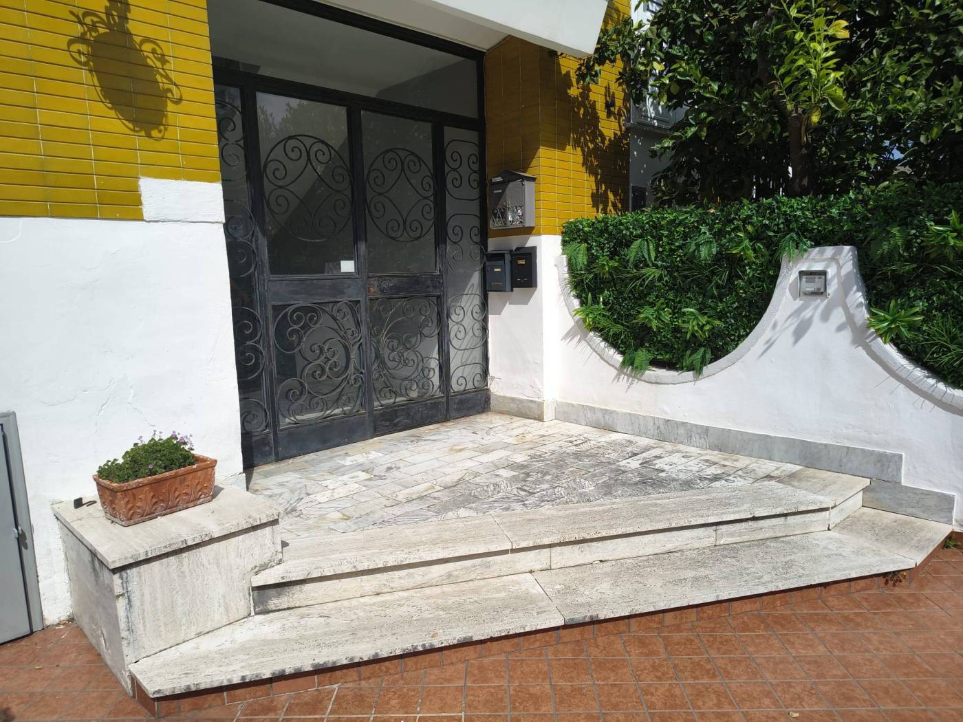 Ingresso