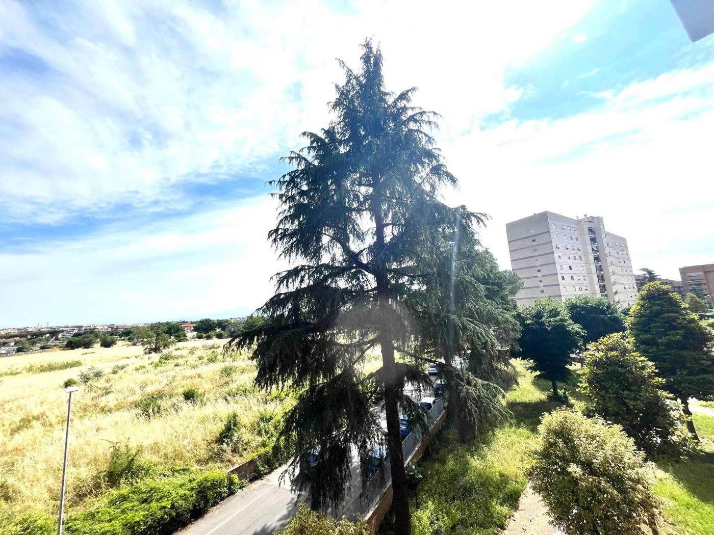 Vista