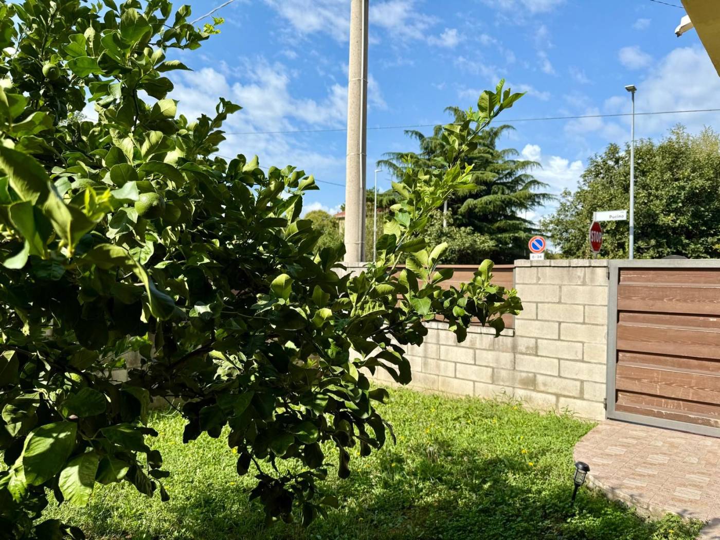 Giardino