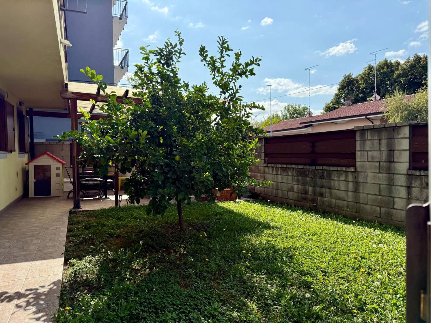 Giardino
