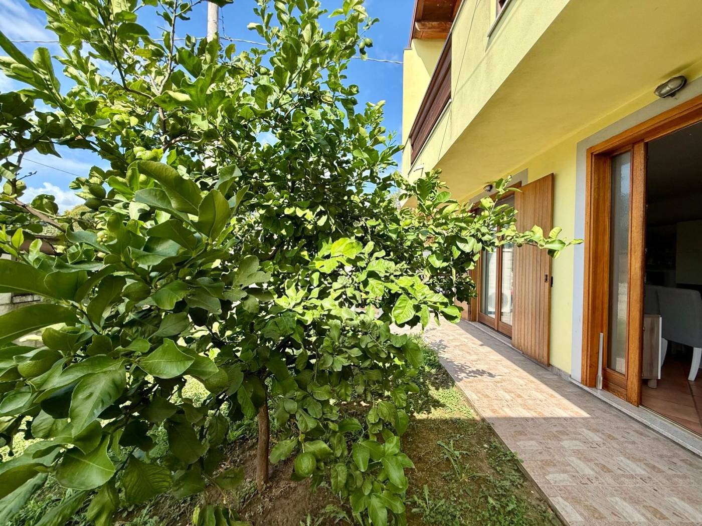 Giardino