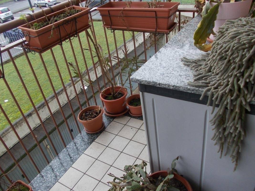 Balcone