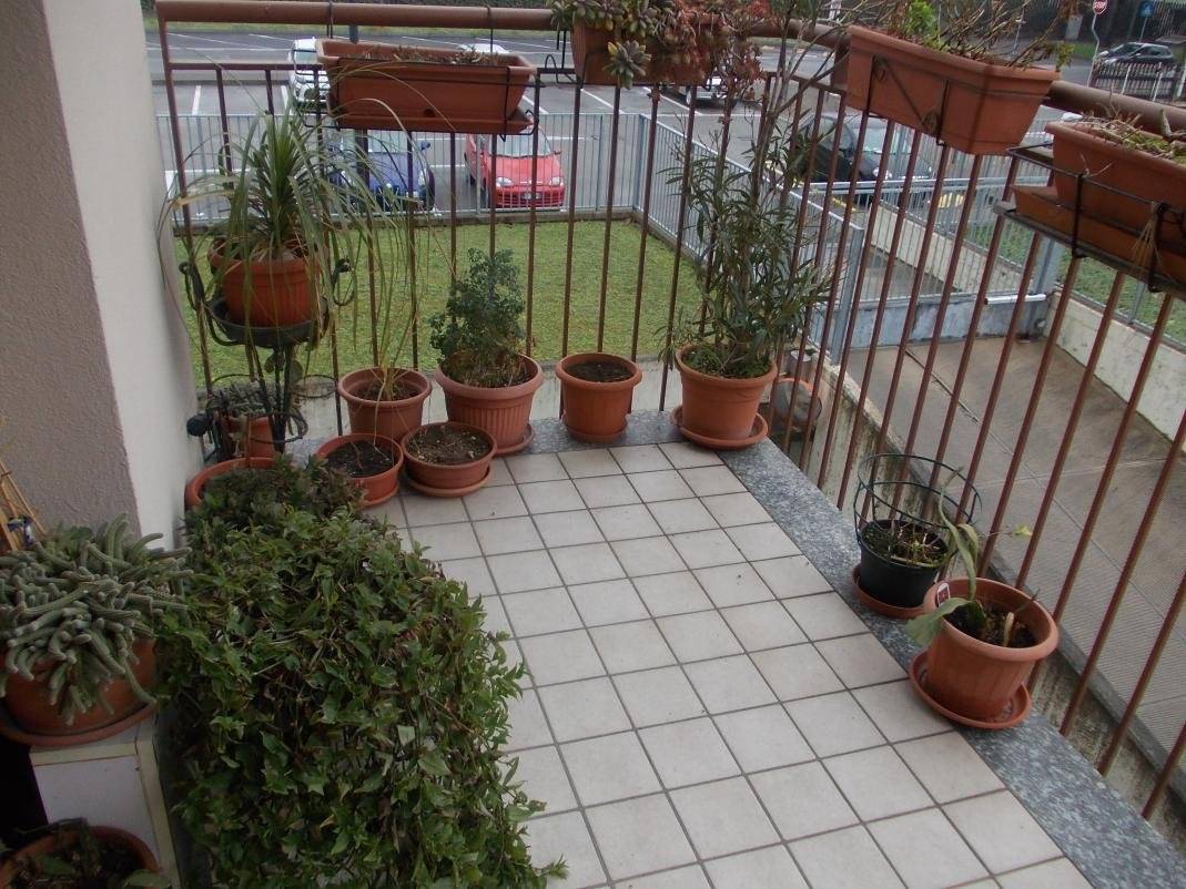 Balcone