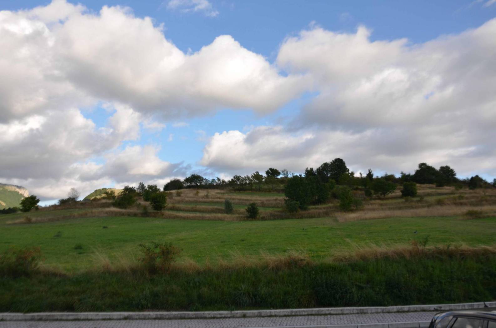 Vista